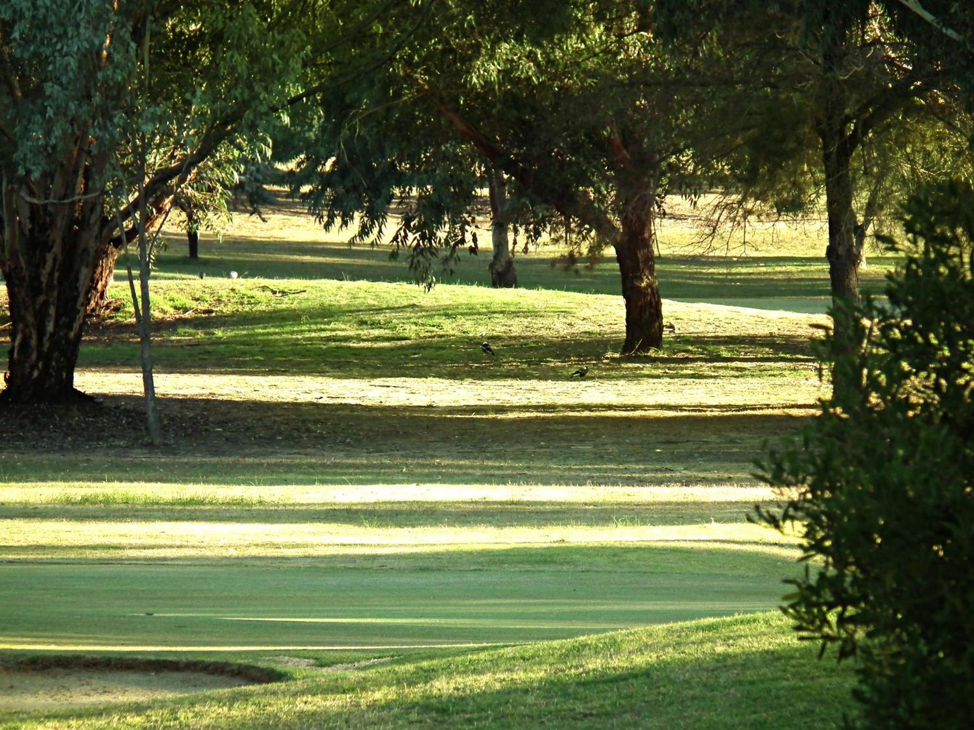 Cobram Barooga Golf Resort Quarto foto